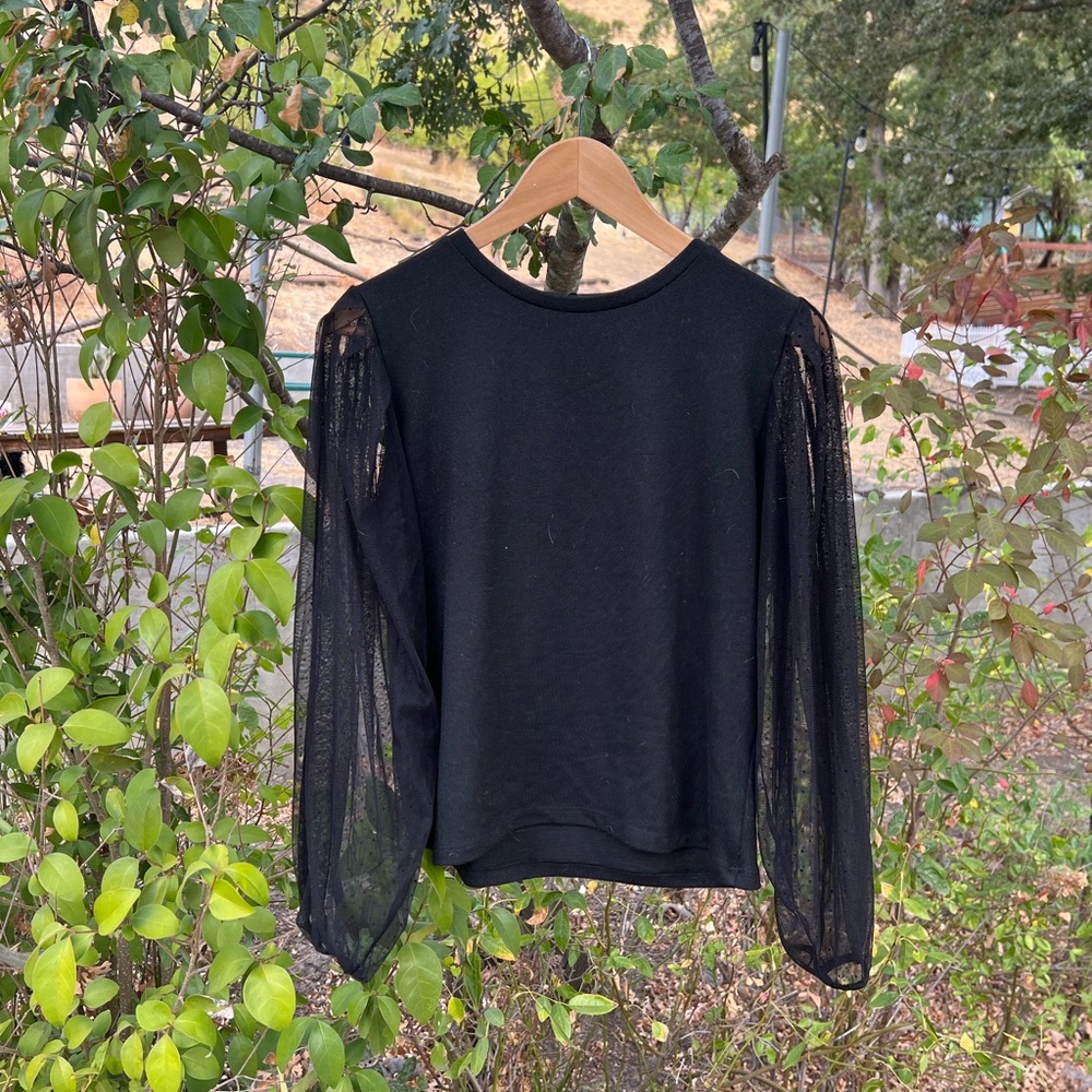Zara Black Top with Sheer Sleeves